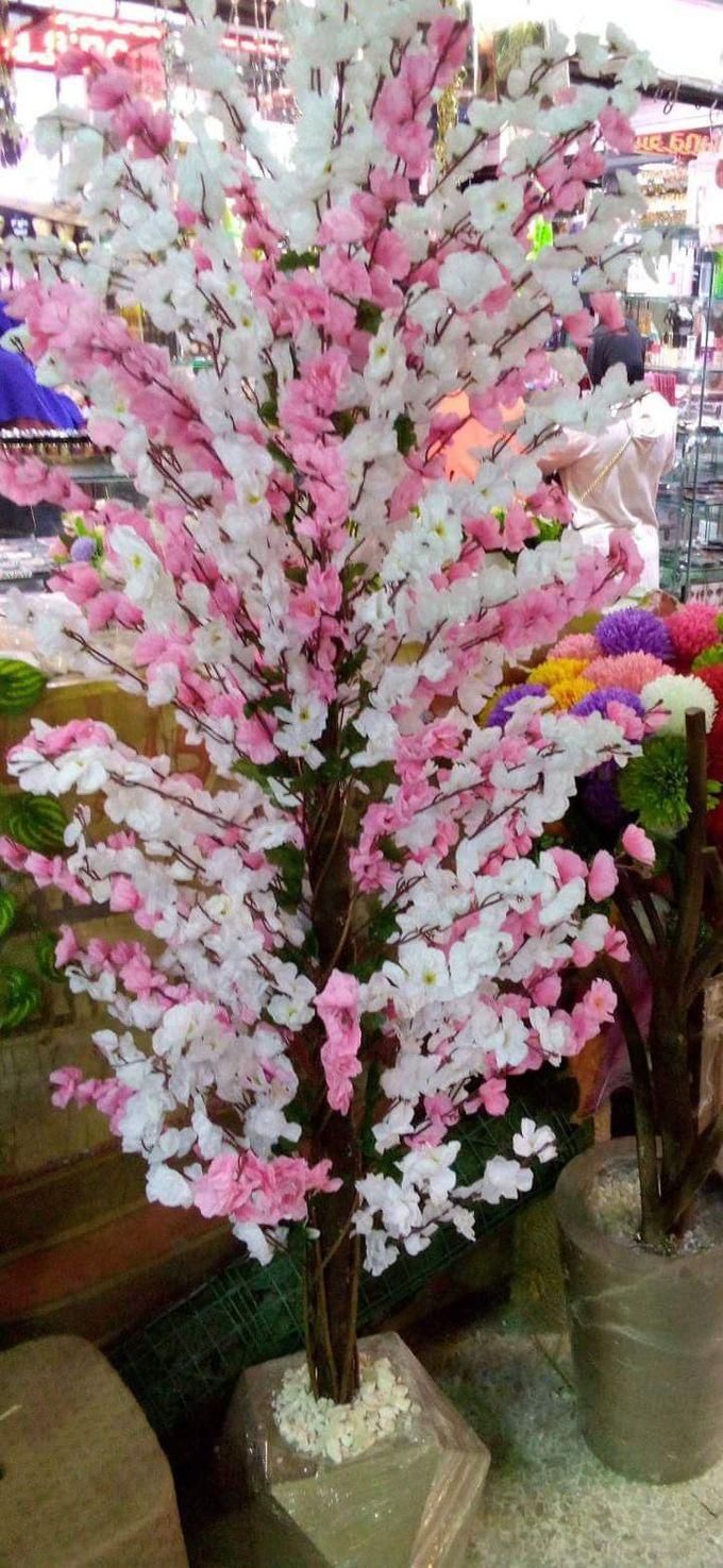 tree Jasmine Rose Tree With White 180 Cm