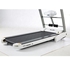 Sprint Sports YG6699/4 DC Motorized Treadmill - 120 Kg - White