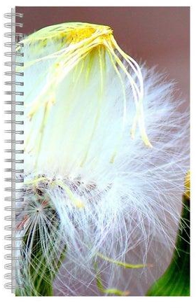 A5 Flower Printed Notebook White/Yellow/Green