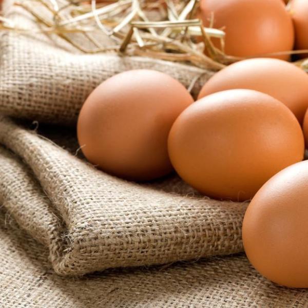 Organic Free Range Eggs - 30 Eggs