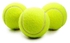Wilson's 3 In 1 Lawn Tennis Balls