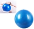 Fitness Exercise Swiss Gym Fit Yoga Core Ball 65CM Abdominal Back Workout - Blue