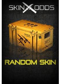 Counter-Strike: Global Offensive RANDOM PREMIUM SKIN CODE by SKINODDS.COM