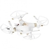 Lian Sheng LS215 Shockproof 2.4GHz 6 Axis Gyro 5 Channel 3D Inverted Flight RC Quadcopter with 360 Degree Flip-Gold