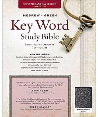 Hebrew Greek Key Word Study Bible NIV