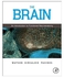 The Brain :An Introduction To Functional Neuroanatomy Paperback English by Watson/Kirkcaldie / Paxinos - 2010