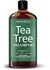 Sulfate free anti dandruff Tea-Tree-Oil Shampoo and Conditioner Set - Made with Therapeutic Grade Tea Tree Essential Oil - Deep Cleansing for Dandruff, Dry Scalp & Itchy Hair - Men & Women 2x16oz ...