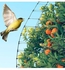 شبكة سياج الغزلان ، 7 × 100 قدم شبكة الطيور المضادة للطيور شبكة حماية الغزلان قابلة لإعادة الاستخدام حديقة واقية المعاوضة للنباتات أشجار الفاكهة الخضروات ضد الطيور والغزلان والحيوانات الأخرى