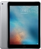 Apple iPad Pro 9.7 inch 256GB Wifi Space Gray