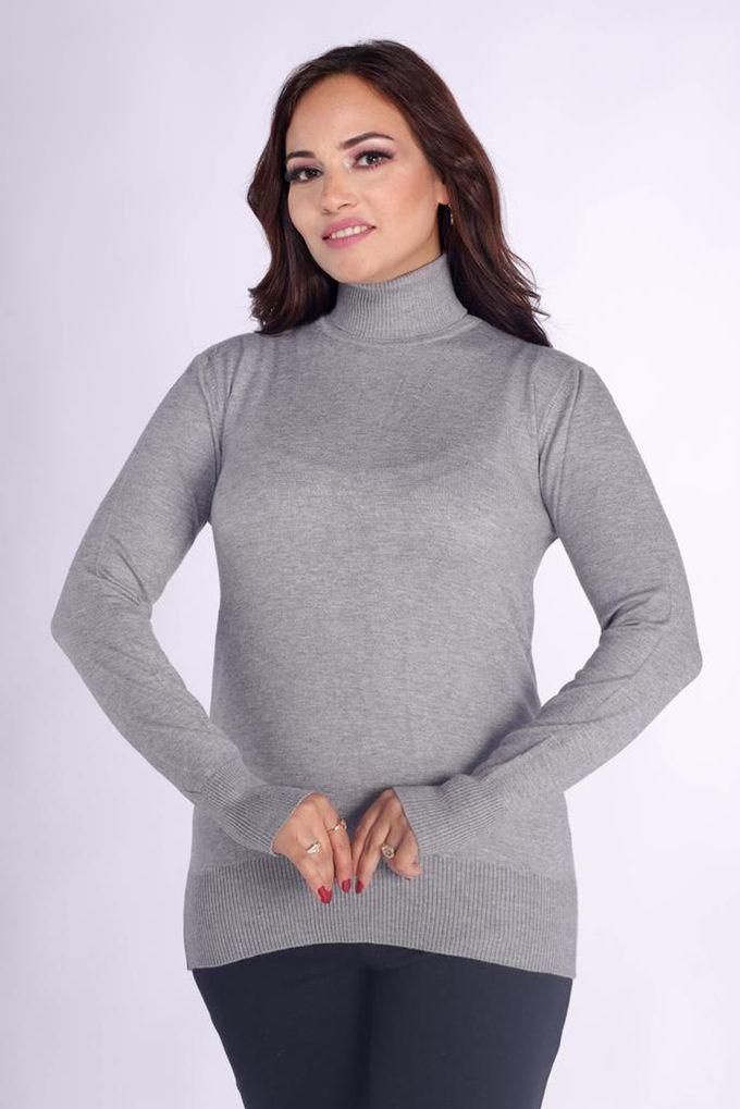 Women's Winter Basic Pullover Long Sleeve High Neck